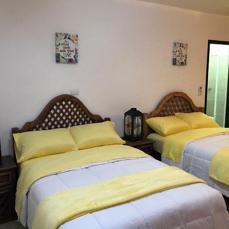 סיודד ואייס Apartamento&Habitacion Galeana מראה חיצוני תמונה