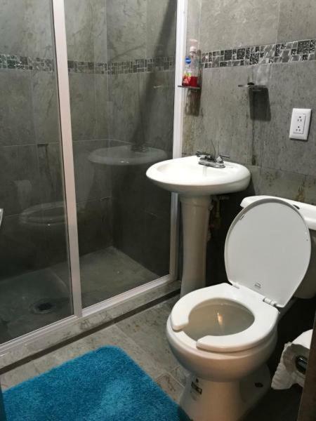 סיודד ואייס Apartamento&Habitacion Galeana מראה חיצוני תמונה
